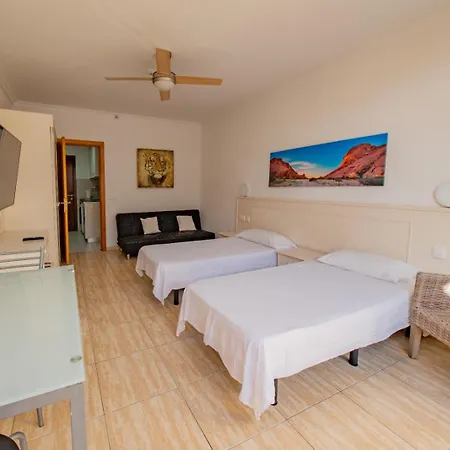 Increible Atico En Playa Martianez