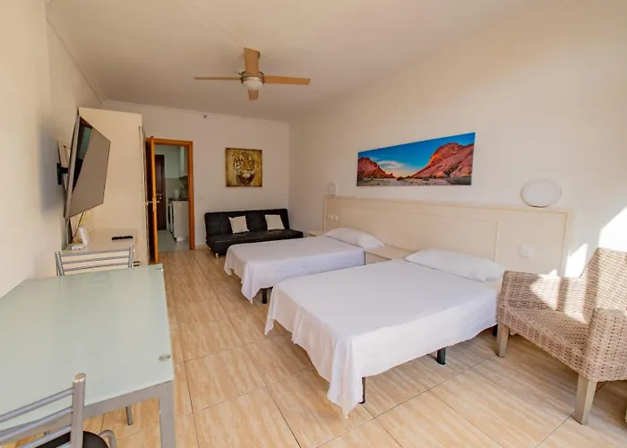 Increible Atico En Playa Martianez